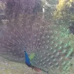 度假居 Casa Sardao 特罗法