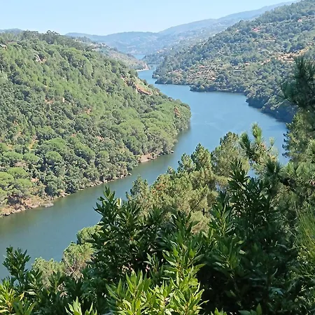 Casa Sardao 別荘 トロファ