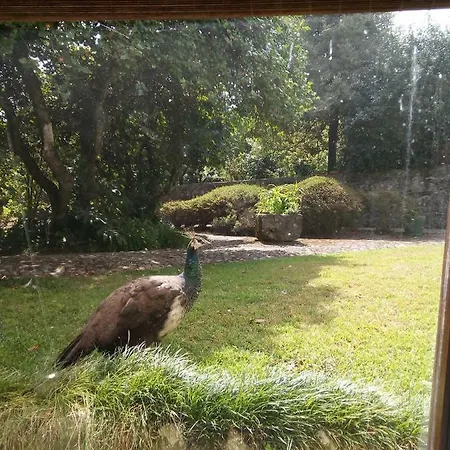 Hébergement de vacances Casa Sardao *