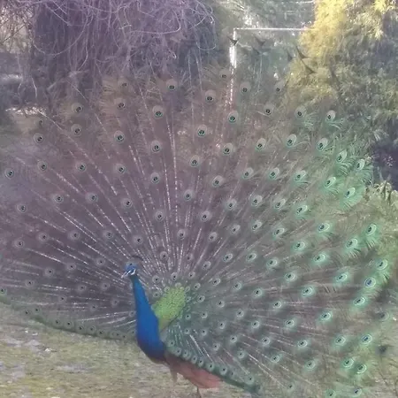Hébergement de vacances Casa Sardao Trofa