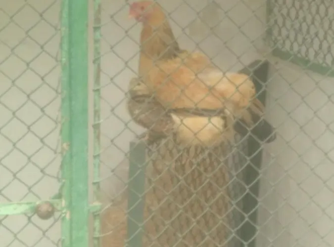 Casa Sardao Dom wakacyjny