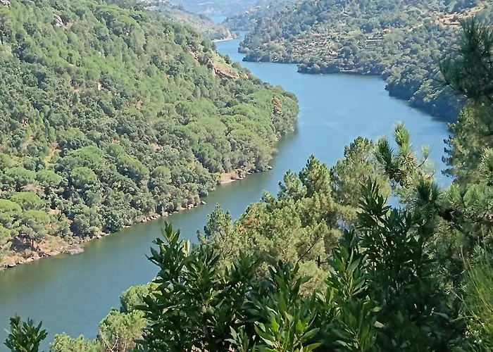 Casa Sardao Dom wakacyjny Trofa