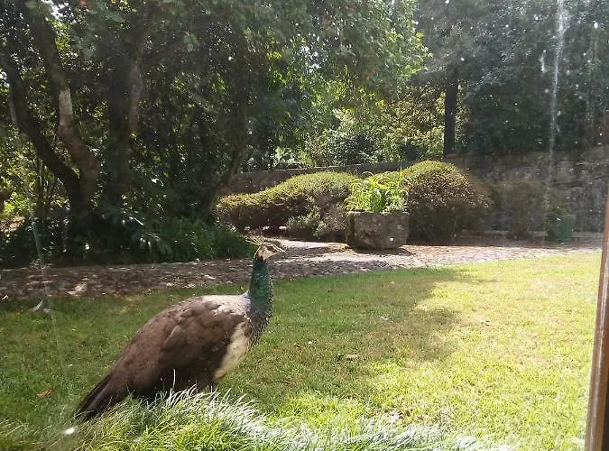 Tatil Evi Casa Sardao *