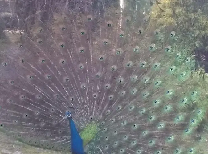 Vakantiehuis Casa Sardao Trofa